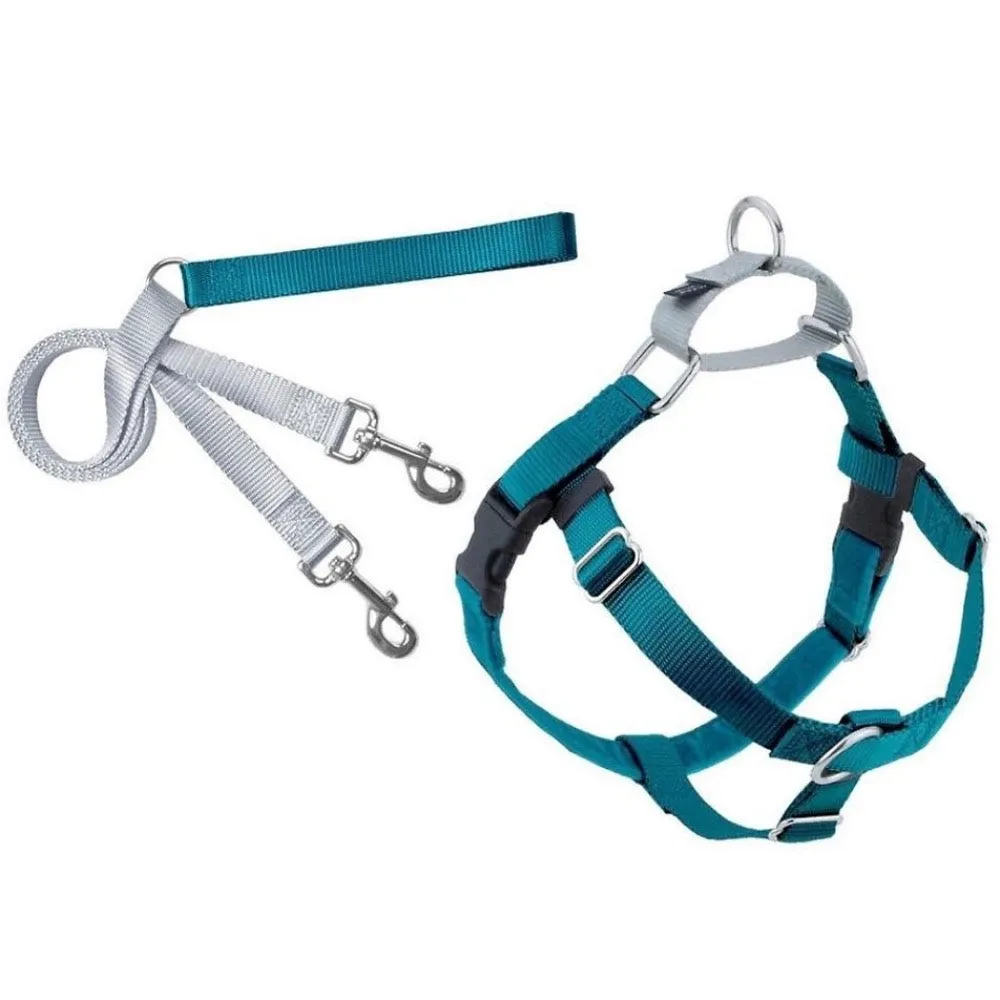 2 Hounds Design Freedom No-Pull Dog Harness & Leash - Teal/Silver