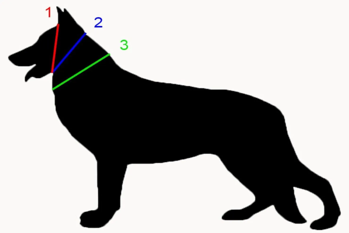 BioThane MicroBling Collars