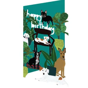 Cats and Dogs Happy Birthday Card