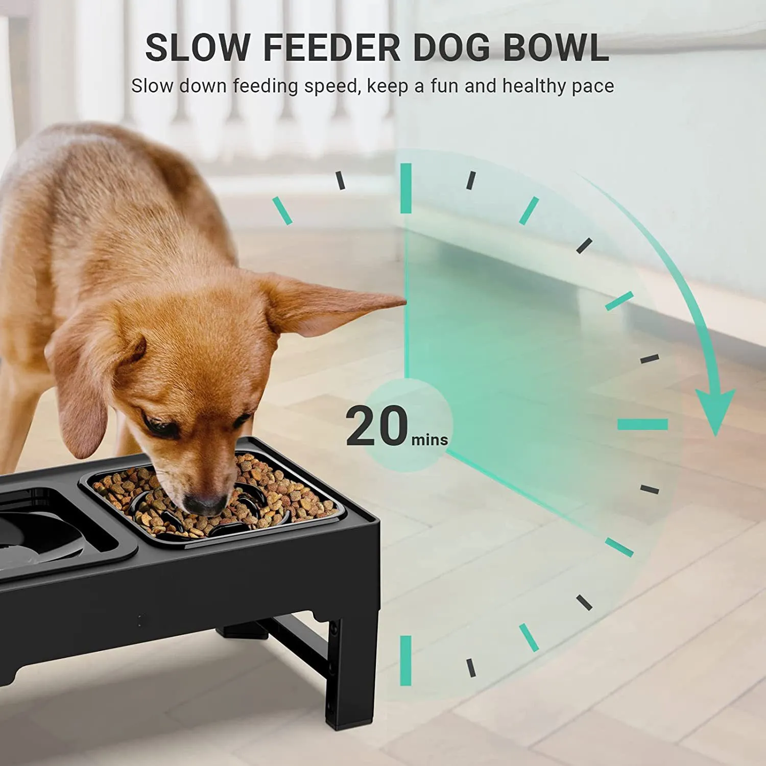 Elevated 2in1 Slow Feeder StressFree Pet Feeding