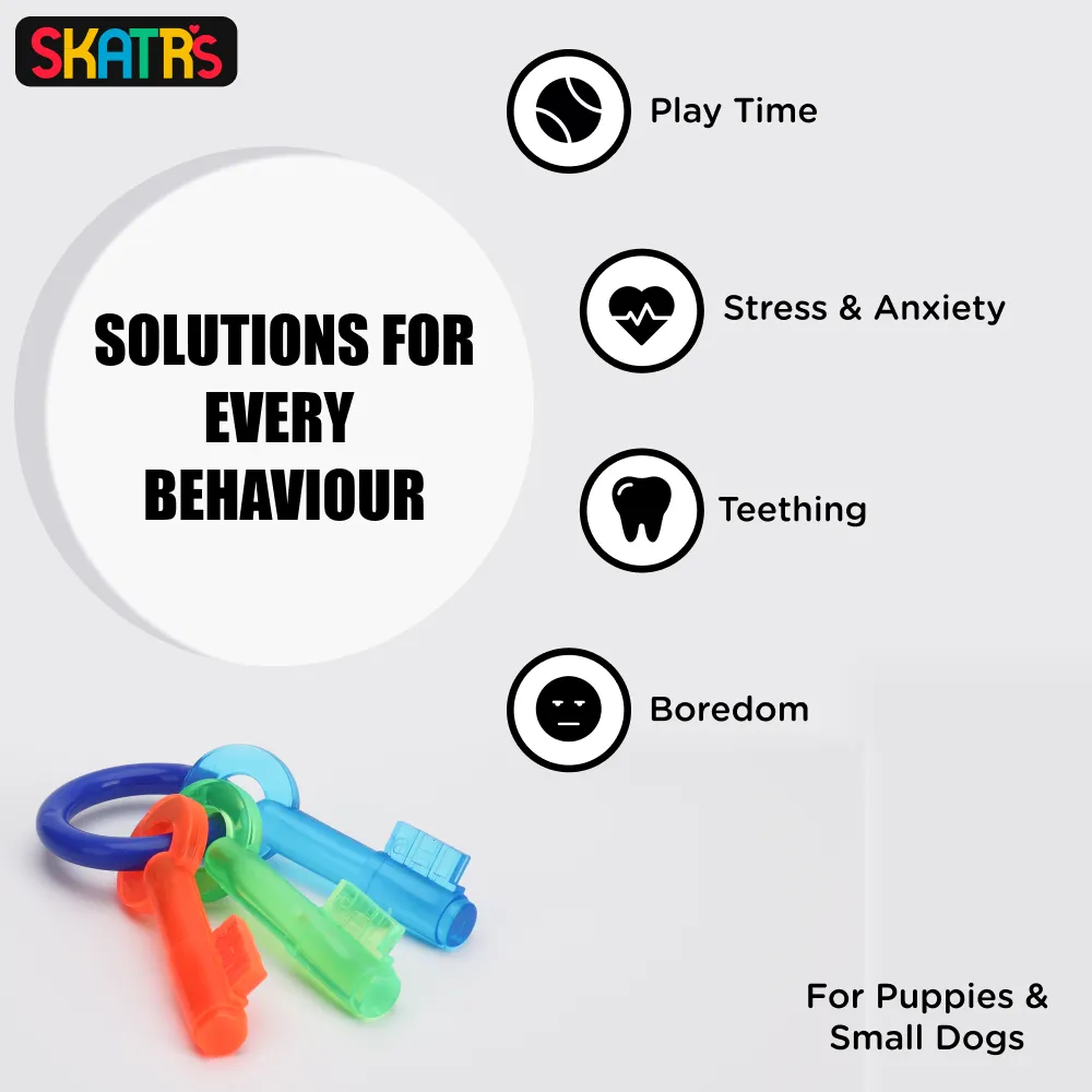 Skatrs Key Shaped Chew Teether Toy for Puppy and Dogs