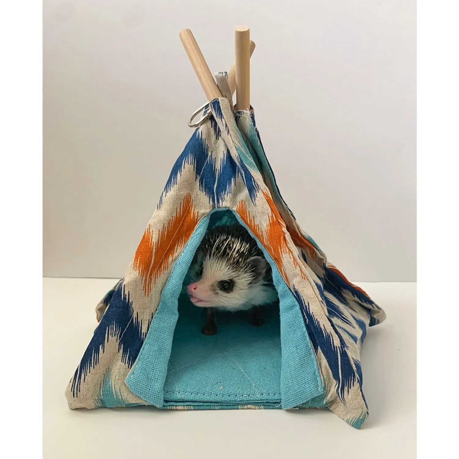 Teepee Tent