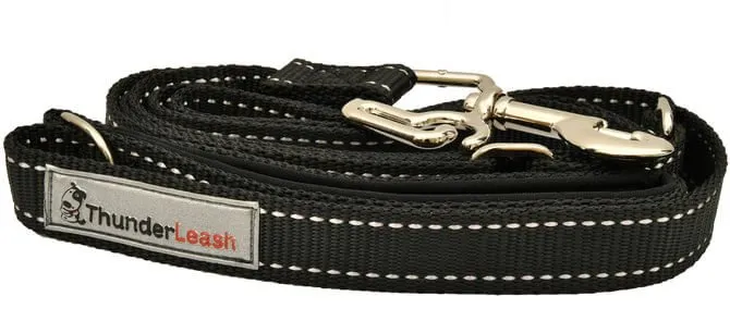 ThunderLeash Dog Leash